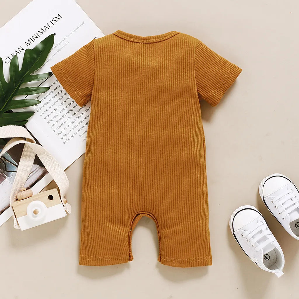 Baby Short Sleeve  Birthday Dress