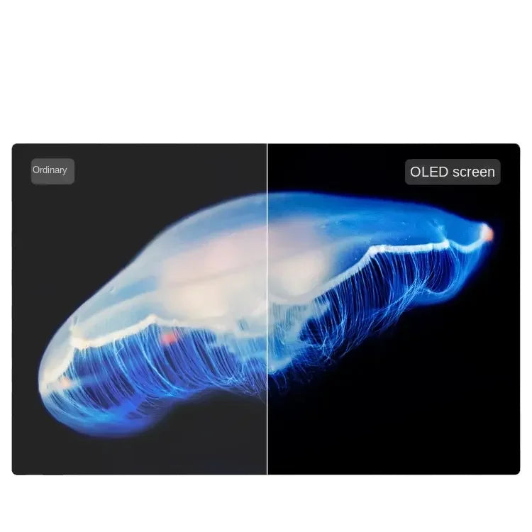 Global Versiom Smart 55 Inches 3840*2160 4K TV